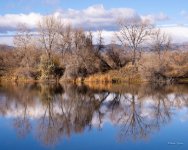 WaldenPonds-300.jpg