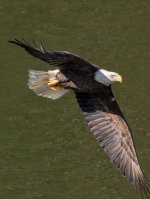 RLW_5274.jpg