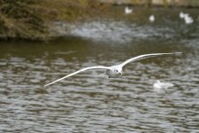 DSC_7904.jpg