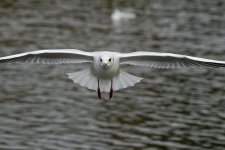 DSC_7908.jpg