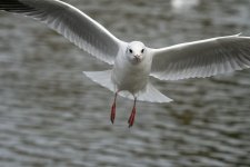 DSC_7909.jpg