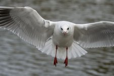 DSC_7910.jpg