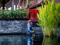 cleaning-and-feeding-jpark-2.jpg