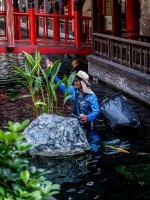 cleaning-and-feeding-jpark-4.jpg