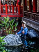 cleaning-and-feeding-jpark-5.jpg