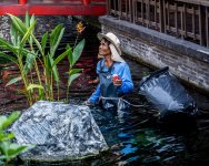 cleaning-and-feeding-jpark-6.jpg