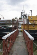 DSC_9384.jpg