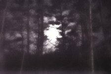 Spooky moonlight_00001_01.jpg