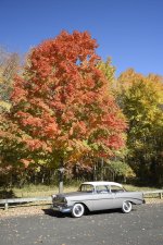 _DSC7695 sooc low res.jpg