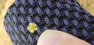 20181117_113634.jpg