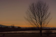 710_7988.jpg