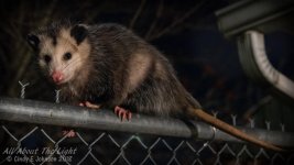 _DSC7845 low res.jpg