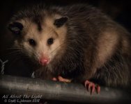 _DSC7847 low res.jpg