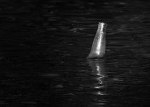 DSC_8194.jpg