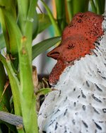 sleeping-eye-1.jpg