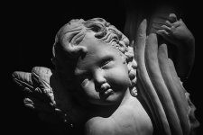 angel-low-key-1.jpg