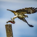 DSC_3304.jpg