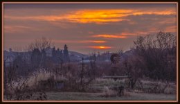 750_5239-Edit.jpg