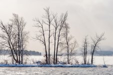 DSC_6243-2.jpg