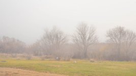 750_5250-001.jpg