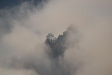 298014.jpg 298014.jpg