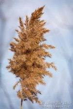 300560d1542941062-hark-2018-a-_dsc1247-low-res.jpg