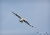 _DSC1219 low res.jpg