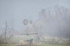 610_6330-Edit.jpg