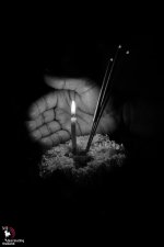 lowlight-bw-1.jpg