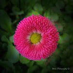 DSCN9754c001.jpg