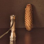pinecone and flashlight.jpg