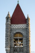DSC_6469.jpg