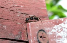 DSC_0132.jpg