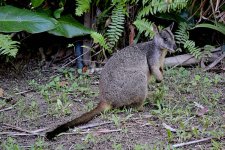 DSC_0117.jpg