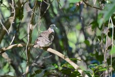 DSC_0151.jpg