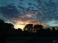 DSC02203.JPG