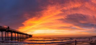 DW1_9048PAN-PS-SV.jpg