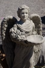 DSC_6514.jpg