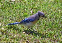 DSC_1364.jpg