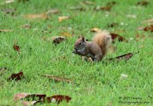 DSC_1311.jpg