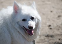DSC_6557.jpg