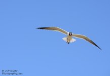 DSC_1640.jpg