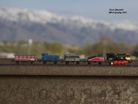 Mini Train on Track 1 site .jpg