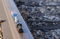 Mini train on track 2 site.jpg