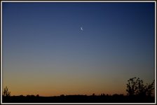 MOON 013.jpg