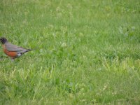 DSCN9795.jpg