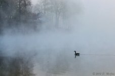 DSC_6610-Edit.jpg
