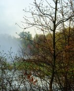 DSC_6613-Edit.jpg