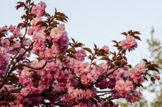 DSC_6614.jpg