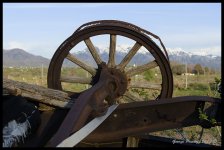 Day125FordWheel.jpg
